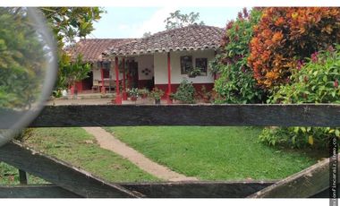 Venta Finca Ganadera Maceo Antioquia