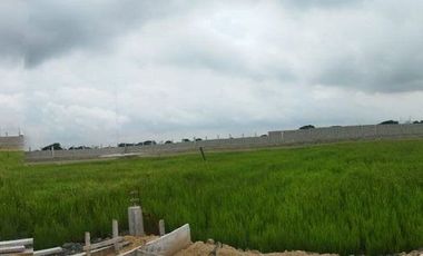 Terreno en venta en via a samborondon