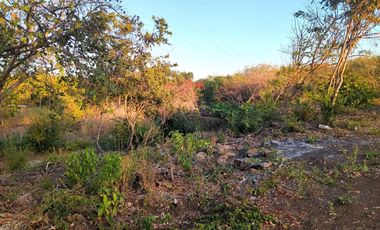 Terrenos en venta en Oaxaca - Excelente ubicación