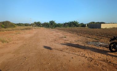 Terreno en venta en Oaxaca - Gran Ubicación