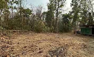 Beautiful plot near Four Seasons Hotel for sale, Mae Rim, Chiang Mai