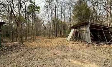 Beautiful plot near Four Seasons Hotel for sale, Mae Rim, Chiang Mai