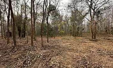 Beautiful plot near Four Seasons Hotel for sale, Mae Rim, Chiang Mai