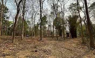 Beautiful plot near Four Seasons Hotel for sale, Mae Rim, Chiang Mai