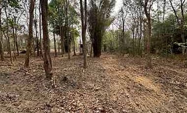 Beautiful plot near Four Seasons Hotel for sale, Mae Rim, Chiang Mai