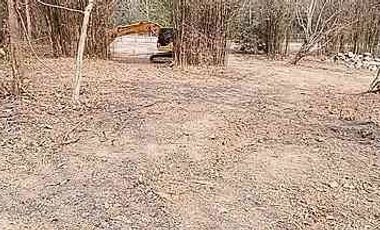 Beautiful plot near Four Seasons Hotel for sale, Mae Rim, Chiang Mai