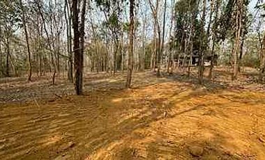 Beautiful plot near Four Seasons Hotel for sale, Mae Rim, Chiang Mai