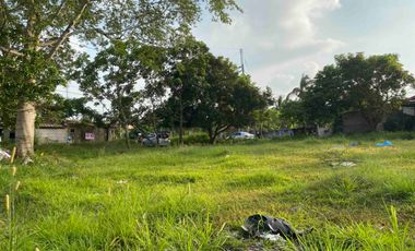 BEST ON CRISANTO! 2000sqm Titled lot 68m Frontage to Crisanto, Amadeo. P15k/sqm