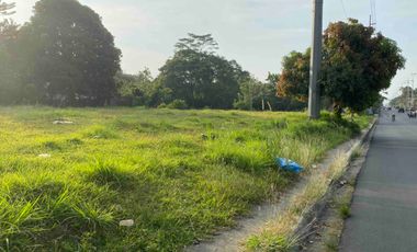 BEST ON CRISANTO! 2000sqm Titled lot 68m Frontage to Crisanto, Amadeo. P15k/sqm