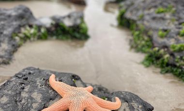 HERMOSA PROPIEDAD EN ARRIENDO DIARIO DE TEMPORADA 5 DORMITORIOS 4 BAÑOS