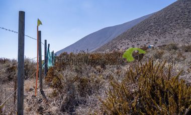 Venta de parcelas con hermosa vista al mar. El Arrayán Costero, a 25 minutos de La Serena. $25 y 24 millones