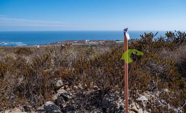 Venta de parcelas con hermosa vista al mar. El Arrayán Costero, a 25 minutos de La Serena. $25 y 24 millones