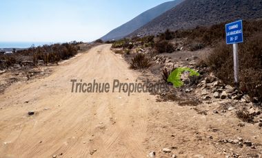 Venta de parcelas con hermosa vista al mar. El Arrayán Costero, a 25 minutos de La Serena. $25 y 24 millones
