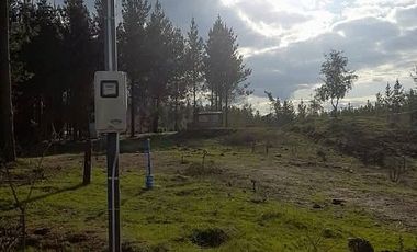 Venta Terreno Camino a Pemuco Sector Agua de La Gloria