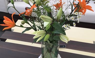 Lujosa villa en exclusivo complejo de Playa del Carmen