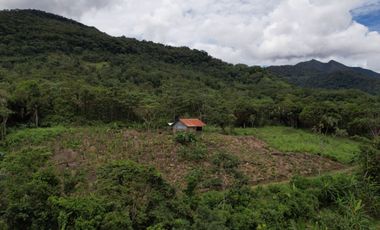 TERRENO HERMOSO CON FRUTALES, Y SERVICIOS 4 HECTAREAS