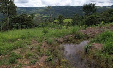 TERRENO HERMOSO CON FRUTALES, Y SERVICIOS 4 HECTAREAS