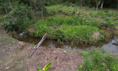 TERRENO HERMOSO CON FRUTALES, Y SERVICIOS 4 HECTAREAS