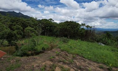 TERRENO HERMOSO CON FRUTALES, Y SERVICIOS 4 HECTAREAS