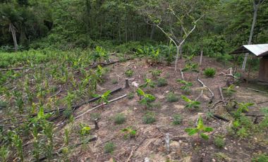 TERRENO HERMOSO CON FRUTALES, Y SERVICIOS 4 HECTAREAS