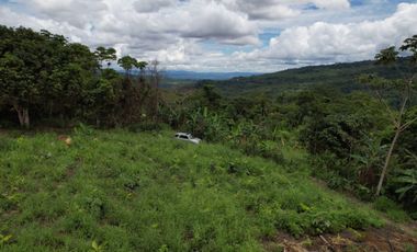 TERRENO HERMOSO CON FRUTALES, Y SERVICIOS 4 HECTAREAS