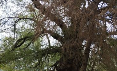 TERRENO OPORTUNIDAD ÚNICA EN San Francisco Soyaniquilpan, CP. 54280, Estado de México