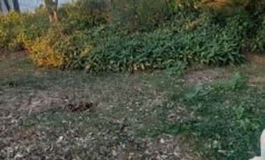 TERRENO PLANO EN LOMAS DEL VALLE VIP