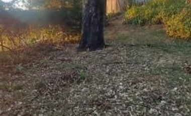 TERRENO PLANO EN LOMAS DEL VALLE VIP