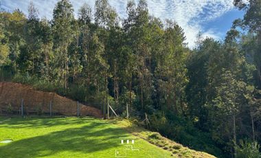 Arriendo Lonco Ray 2 Dormitorios Privilegiada Vista