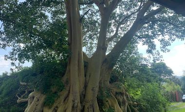 * INCREÍBLE CASA ESTILO EUROPEO CON UBICACIÓN Y VISTA PRIVILEGIADA EN TEPOZ