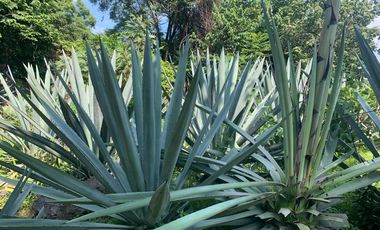 * INCREÍBLE CASA ESTILO EUROPEO CON UBICACIÓN Y VISTA PRIVILEGIADA EN TEPOZ