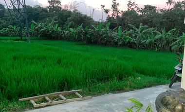 VILLA FOR RENT IN TANAHLOT TABANAN, BALI