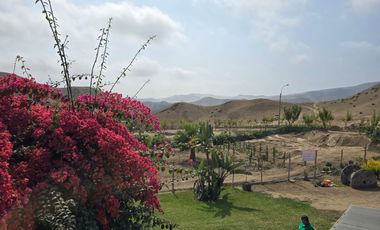 Terreno Finca Los Olivos