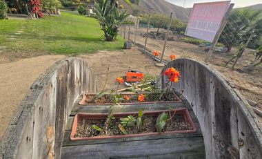 Terreno Finca Los Olivos