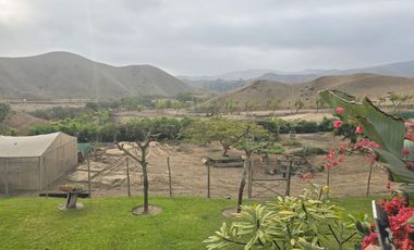 Terreno Finca Los Olivos