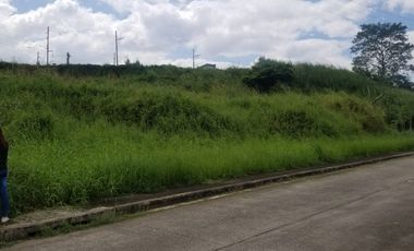 Rare Find: PRINCETON HEIGHTS Bacoor 195.0sqm PRIME RESIDENTIAL Lot – Flexible Terms & Big Discounts! Only 20K RESERVATION FEE!