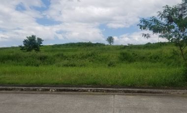 Rare Find: PRINCETON HEIGHTS Bacoor 195.0sqm PRIME RESIDENTIAL Lot – Flexible Terms & Big Discounts! Only 20K RESERVATION FEE!