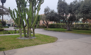 Venta Terreno En Los Olivos 6,523.24M2