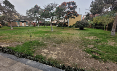 Venta Terreno En Los Olivos 6,523.24M2