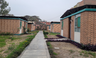 Venta Terreno En Los Olivos 6,523.24M2