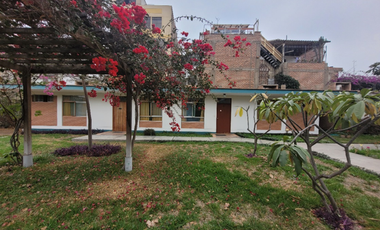 Venta Terreno En Los Olivos 6,523.24M2