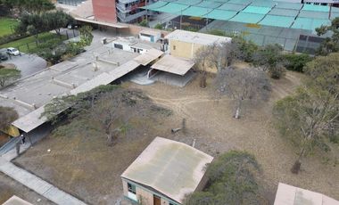 Venta Terreno En Los Olivos 6,523.24M2