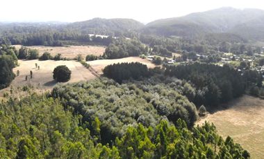 Parcelas en Lipingue Ruta 5