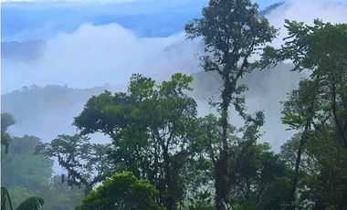 PROPIEDAD ESPECTACULAR EN MERA, PASTAZA: ¡50 HECTÁREAS DE POTENCIAL TURÍSTICO!