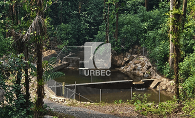 PROPIEDAD ESPECTACULAR EN MERA, PASTAZA: ¡50 HECTÁREAS DE POTENCIAL TURÍSTICO!
