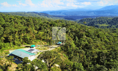 PROPIEDAD ESPECTACULAR EN MERA, PASTAZA: ¡50 HECTÁREAS DE POTENCIAL TURÍSTICO!