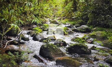 PROPIEDAD ESPECTACULAR EN MERA, PASTAZA: ¡50 HECTÁREAS DE POTENCIAL TURÍSTICO!