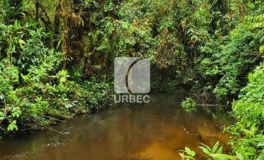 PROPIEDAD ESPECTACULAR EN MERA, PASTAZA: ¡50 HECTÁREAS DE POTENCIAL TURÍSTICO!