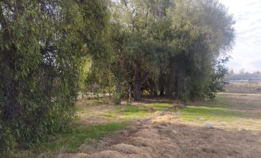 Oportunidad! Se arrienda parcela en Camino Carampangue, Talagante