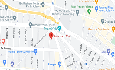 REMATO EXCELENTE DEPARTAMETO EN POLANCO, SUDERMANN 136, MIGUERL HIDALGO